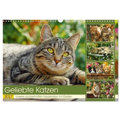 Geliebte Katzen. Unsere zauberhaften Hauskatzen im Garten (Wandkalender 2027 DIN A3 quer), CALVENDO Monatskalender