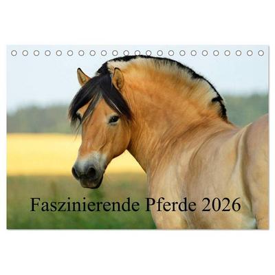Faszinierende Pferde 2026 (Tischkalender 2026 DIN A5 quer), CALVENDO Monatskalender