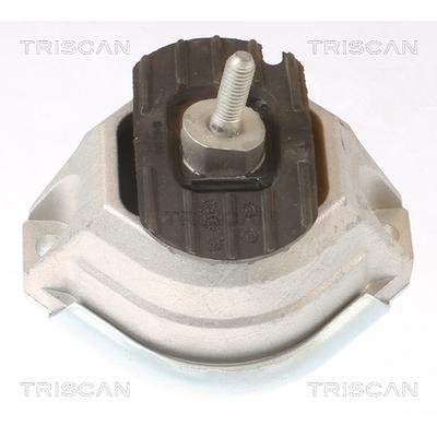 TRISCAN Lagerung, Motor 850511114 für BMW