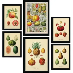 POSTER Set Mit 6 Gesund In Vintage A3 & A4 Weißer Rahmen