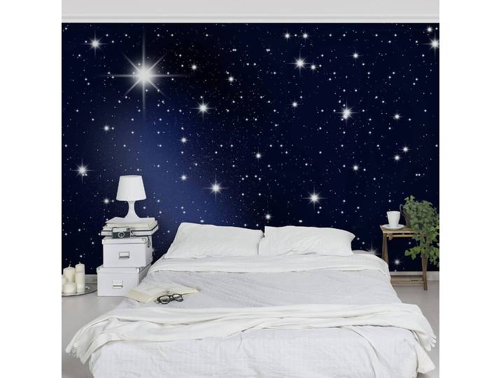 Vliestapete Stars 384 x 255cm 384 x 255 cm