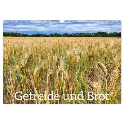 Getreide und Brot (Wandkalender 2026 DIN A3 quer), CALVENDO Monatskalender