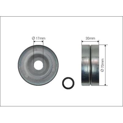 CAFFARO Spannrolle, Keilrippenriemen 500362 für HONDA (DONGFENG)