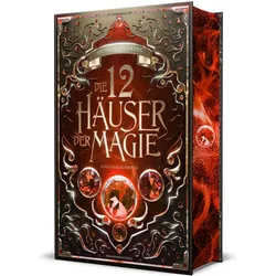 Suchanek:Die 12 Häuser der Magie - Schi, Jugendbücher von Andreas Suchanek
