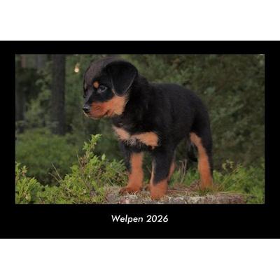 Welpen 2026 Fotokalender DIN A3