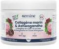 Oemine Collagène Marin & Ashwagandha Goût Cacao 150 g - Pot