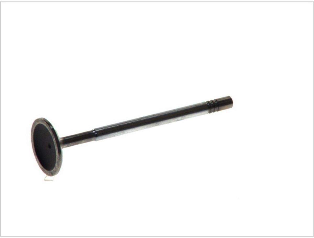 Einlaßventil FRECCIA R4876/SCR