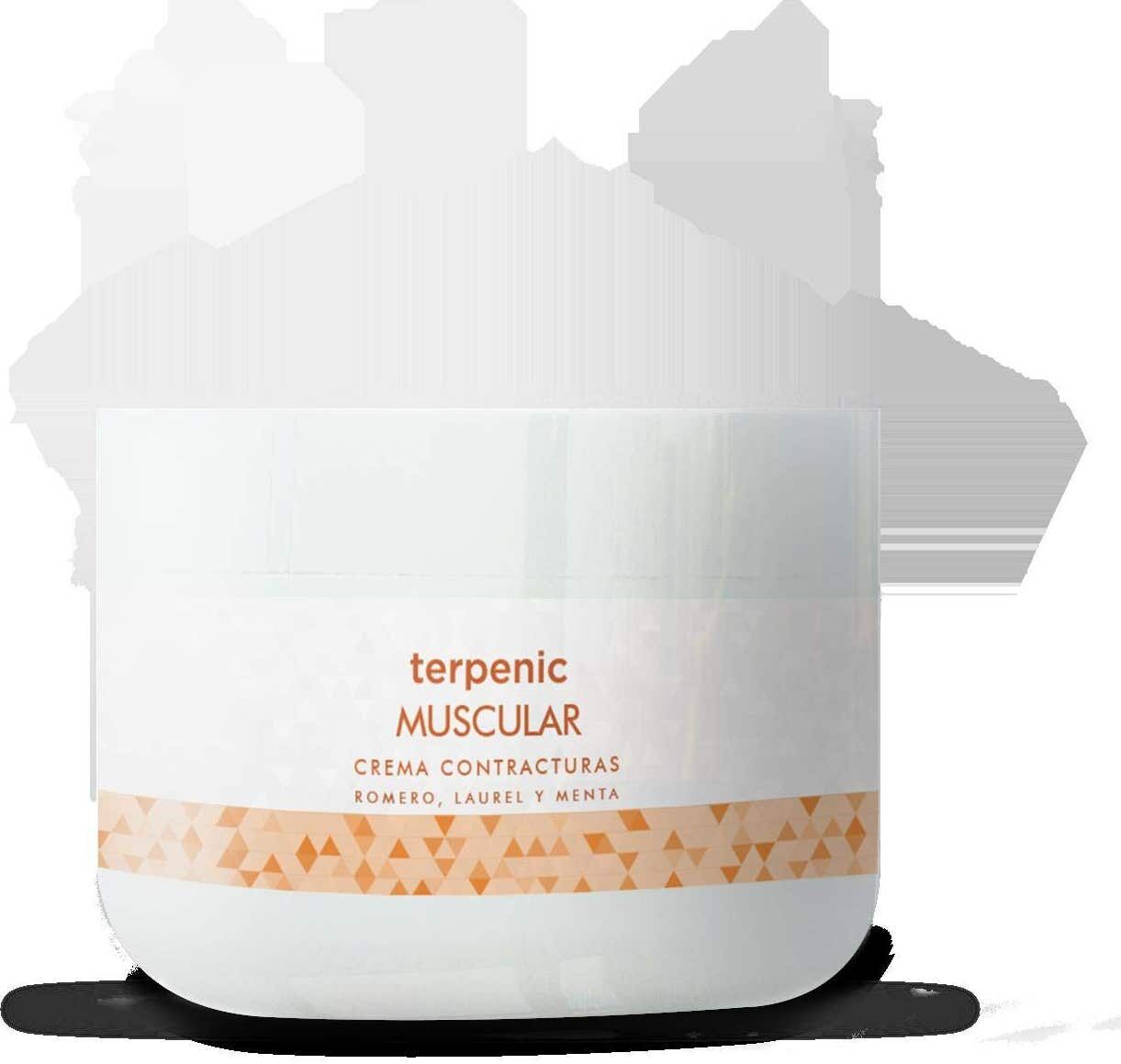 Terpenic Crema Muscular Evo Pro 500 ml