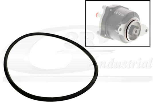 3rg Dichtung, Unterdruckpumpe 81091 Für Renault