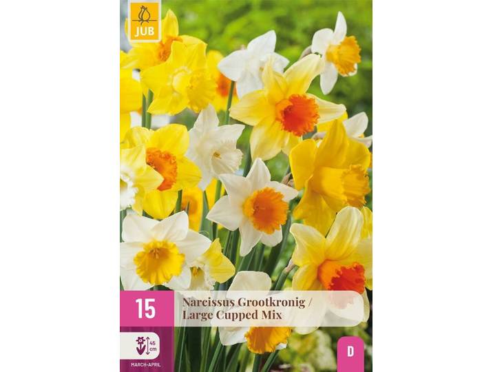 Narcis grootkronig mix 15 bollen