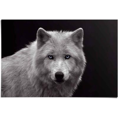 Poster REINDERS "Weißer Wolf", schwarz (farbe bild(er): schwarz), B:91,5cm H:61cm, Papier, Bilder, Poster
