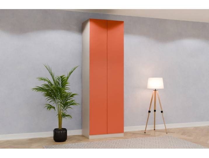 Schrank nach Maß - RAL 2012 Lachsorange - 272x85x60cm - Individuell konfigurieren