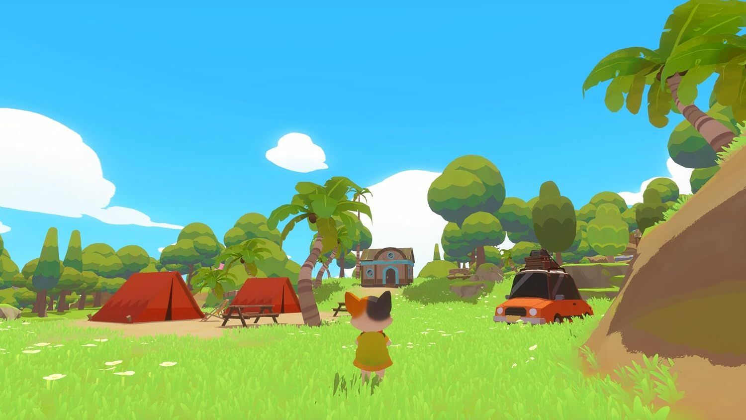 Petit Island PS5