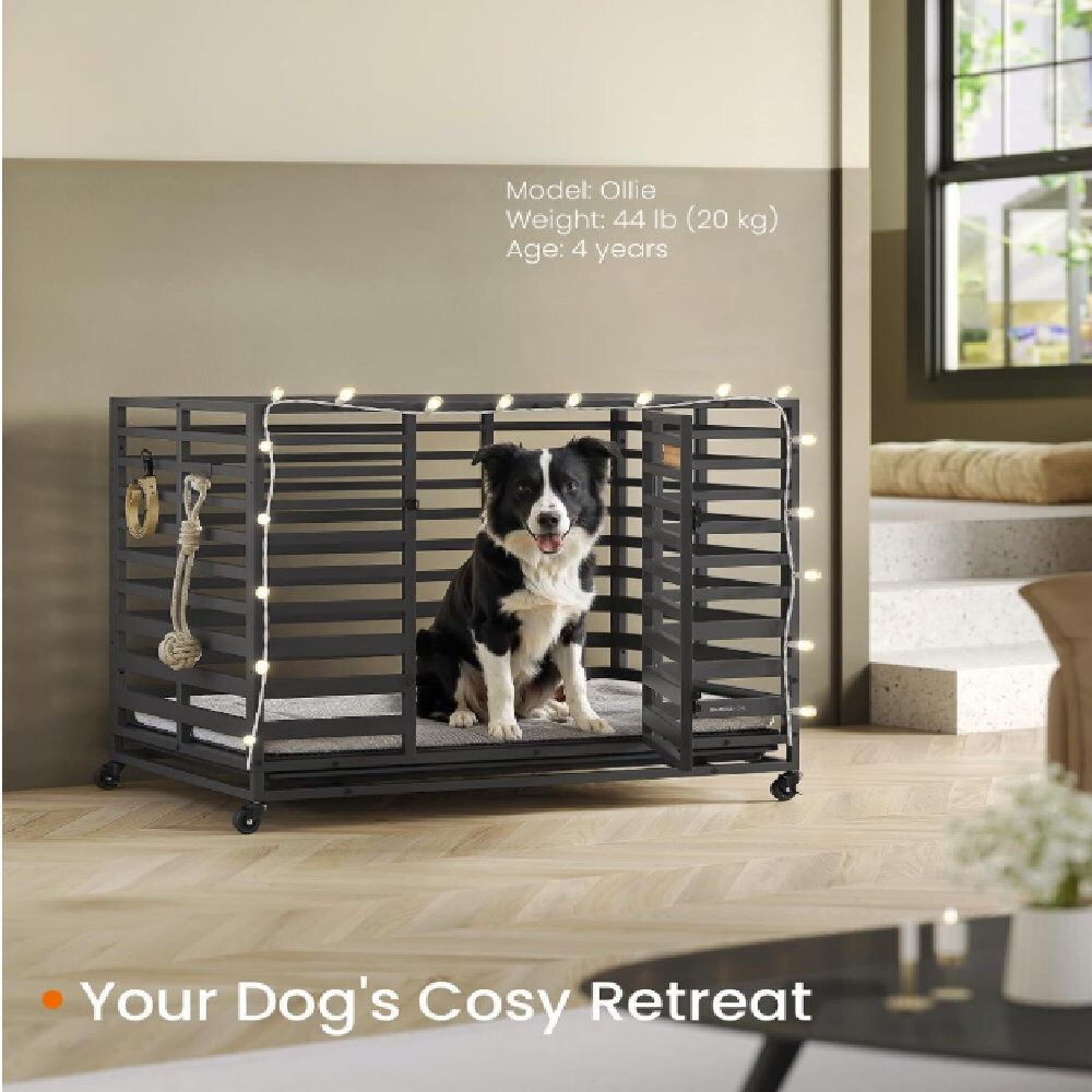 FEANDREA Steel Pet Crate with 1 Door Black Large (50-95lbs)