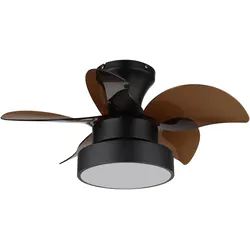 Globo Kari, Ventilator, Braun, Schwarz