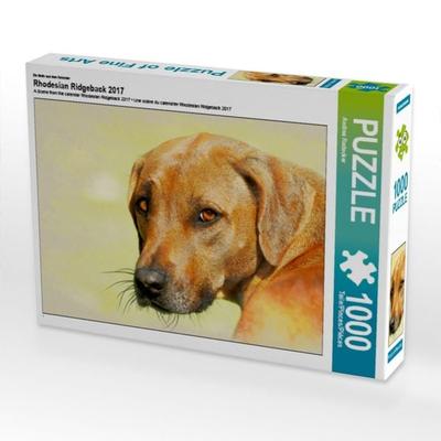 CALVENDO Puzzle Ein Motiv aus dem Kalender Rhodesian Ridgeback 2017 | 1000 Teile Lege-Größe 64x48cm Foto-Puzzle für glückliche Stunden
