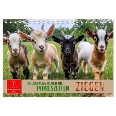 Ziegen - Bocksprung durch das Jahr (Tischkalender 2026 DIN A5 quer), CALVENDO Monatskalender