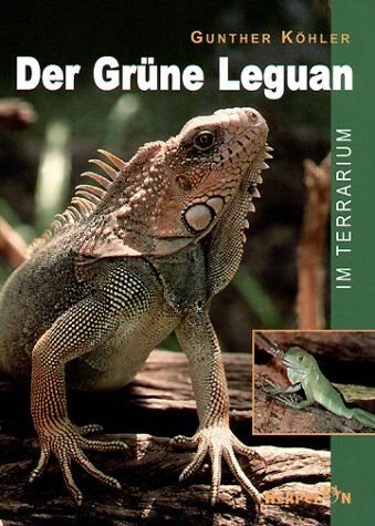 Gunther Köhler - Der Grüne Leguan im Terrarium - Preis vom 11.10.2026 15:43:13 h