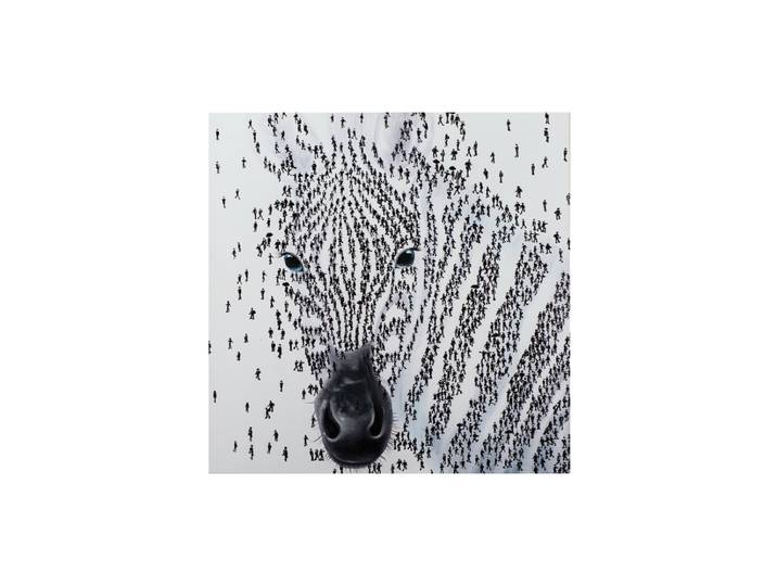 Handgemaltes Bild „Zebra“ 115 x 115 cm Multicolor Crea Collection