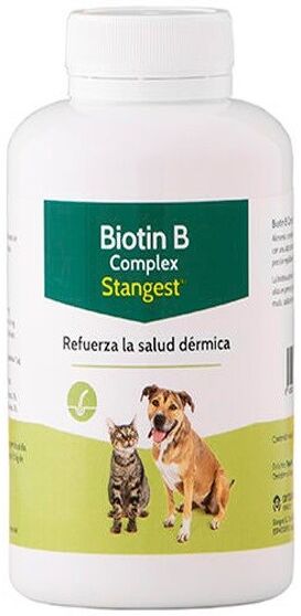 Stangest Biotin B Complex