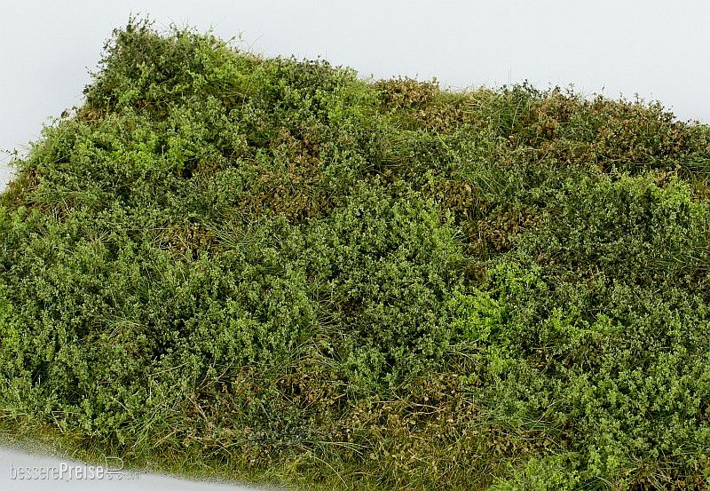 Model Scene F571