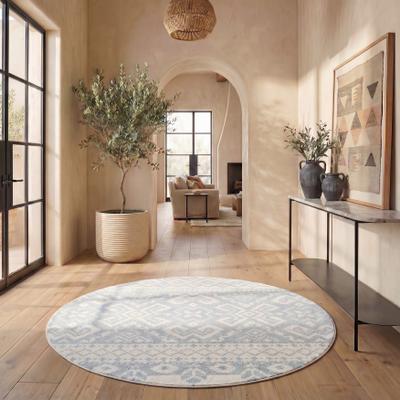 SAFAVIEH Adirondack Dixie Rustic Boho Rug