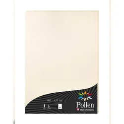 Pollen 10x Papier A4 Pollen 120g 50 Blatt - Elfenbeinperlmutt 24303C