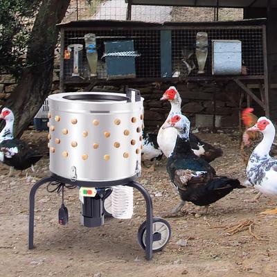 Chicken Plucker Machine Stainless Steel Drum, Motor, Feather Plucker For Fast Poultry Processing Chicken Plucker Machine Stainless Steel Drum, Motor, Feather Plucker For Fast Poultry Processing