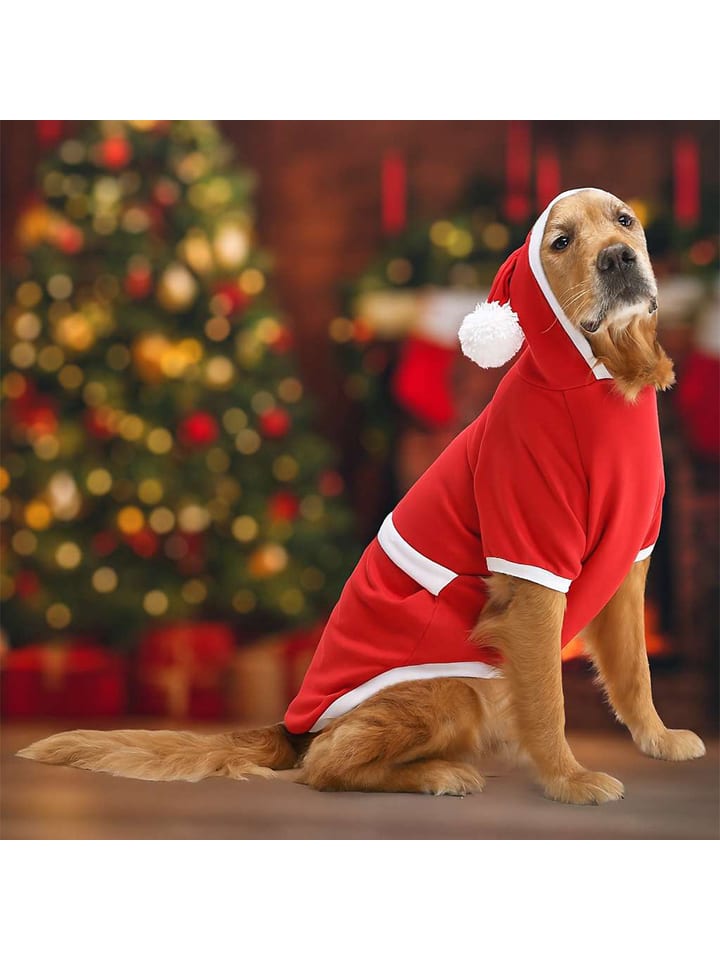 Paws&Whiskers Hundehoodie in Rot - 8XL
