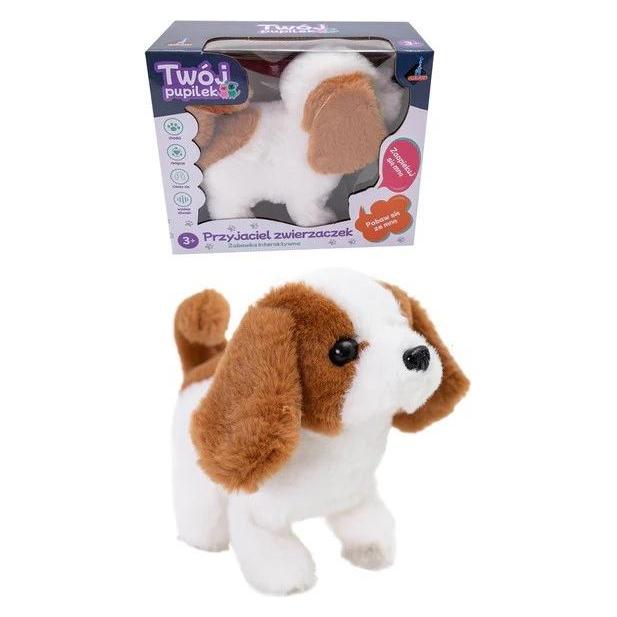 Askato Interaktives Maskottchen. Batteriebetriebener Hund (GXP-930442)