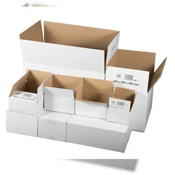 VEPATIM 25x Faltkarton  300x200x100mm (Außenmaß) 1-wellig weiß