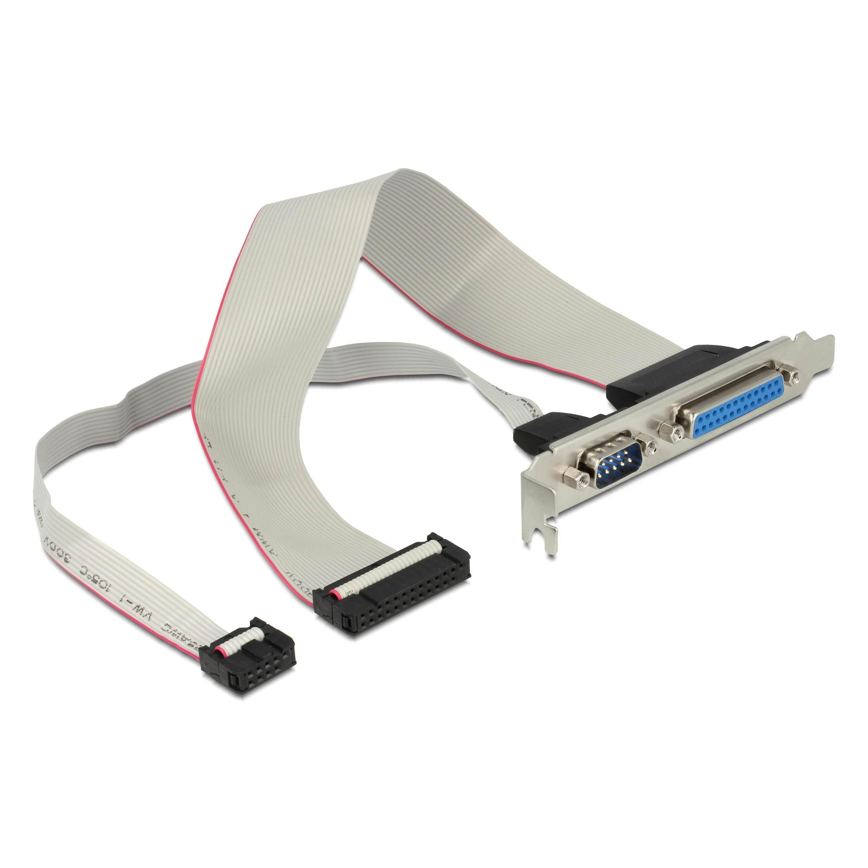 Delock Seriel 1 Ports Seriell+Parallel Bracket (0.30 m) (83445)