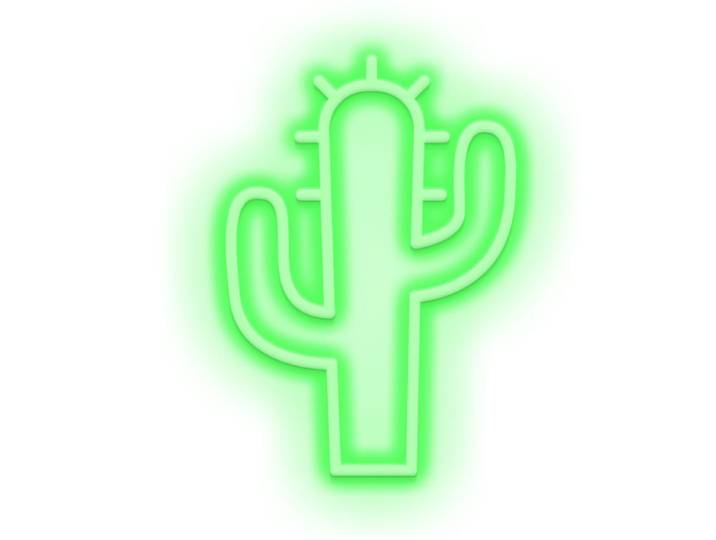 Eclairage néon cactus