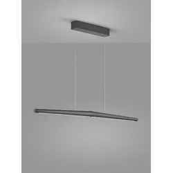 helestra MÖWE Pendelleuchte mattschwarz eloxiert #16/2101.22