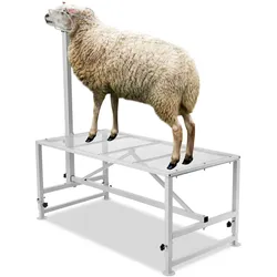 VEVOR Trimmständer, 1195 x 584 mm Viehstand, Metallstand zum Melken und Scheren von Vieh, 533 bis 838 mm verstellbare Höhe, mit Kopfstück und Nasenschlaufe, 227 kg Ladegewicht, weiß