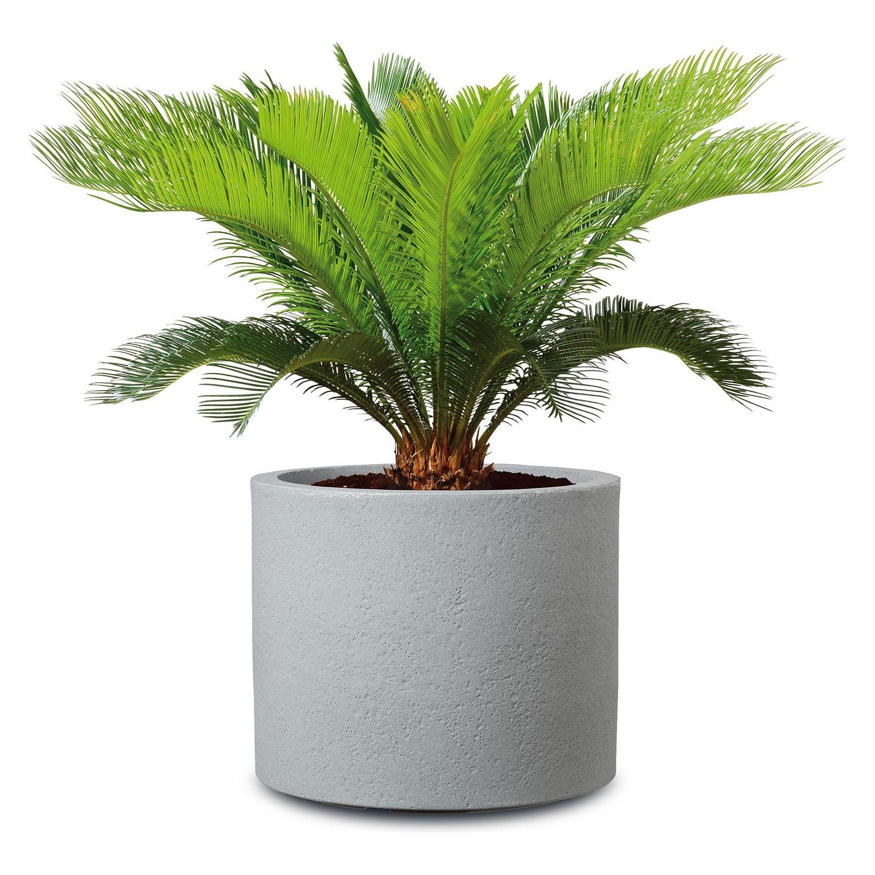 Scheurich Flowerpot Stony Grey 64205, plastic, Ø 29 cm, grey (29 x 24.30 cm) (42324289)