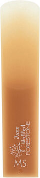 Forestone Unfiled Alto Saxophone MS