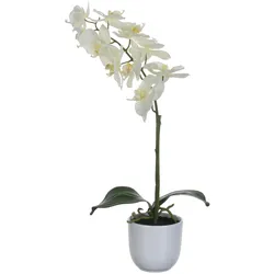 Mica, Kunstpflanzen, Kunstblume Orchidee H 60 cm weiss (60 cm)