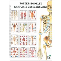 Mini-Poster Booklet: Anatomie
