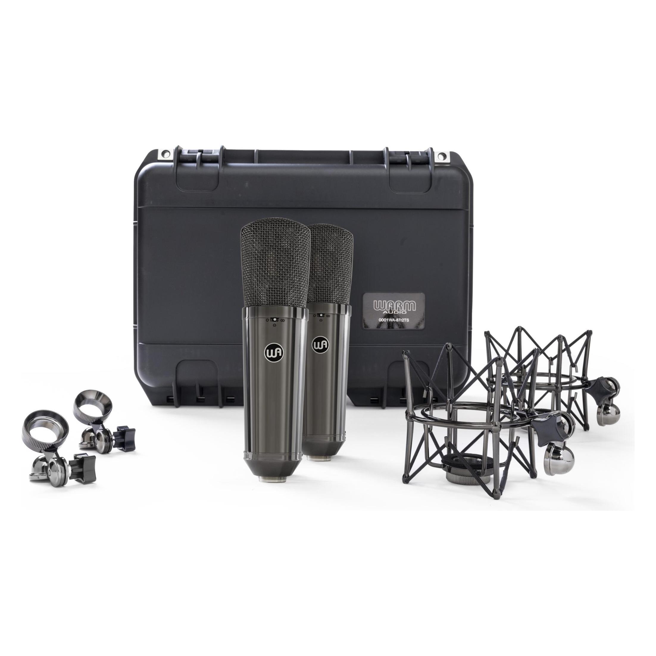 Warm Audio WA-87 R2 TS - Limited Edition Titanium Stereo Pair (REC0016747-000)