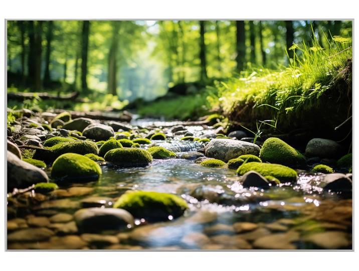 Bild mit Rahmen Waldbach image LAND