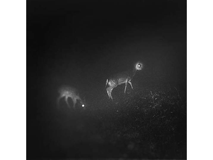 Bliss Signal - Bliss Signal
