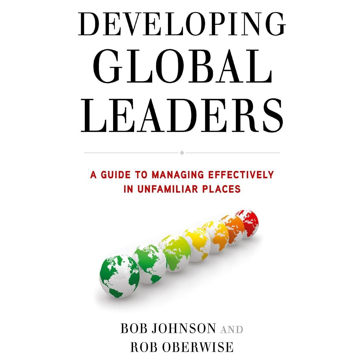 Palgrave Macmillan Developing Global Leaders (Englisch, Hardcover, B Johnson, B. Johnson, Bob Johnson, R Oberwise, Rob Oberwise) (9780230337510)