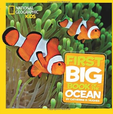 Hughes, Catherine D. - National Geographic Little Kids First Big Book of the Ocean (First Big Books) - Preis vom 13.10.2026 19:28:25 h