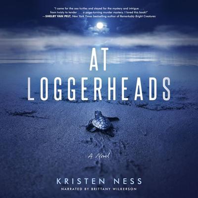 AT LOGGERHEADS - Kristen Ness, Audio, 9781959162902