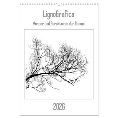 LignoGrafica - Muster und Strukturen der Bäume (Wandkalender 2026 DIN A3 hoch), CALVENDO Monatskalender