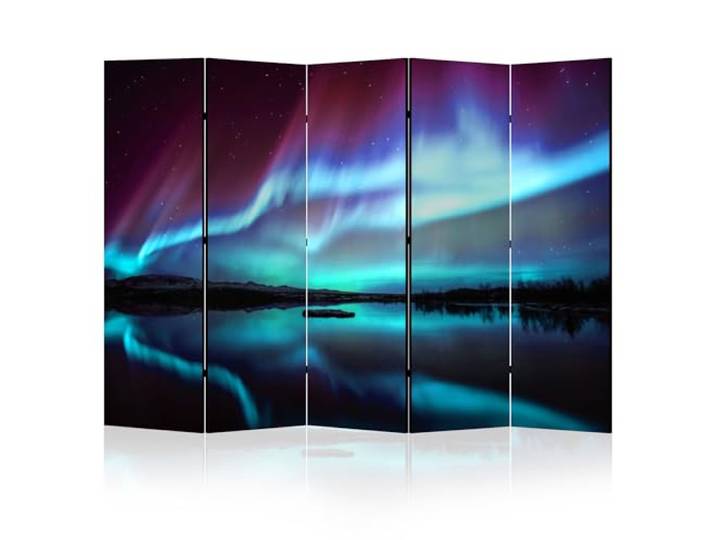 LUMASOUL Paravent Raumteiler Innen beidseitig Bedruckt 225x172 cm 5 teilig beide Seiten mit Motiv, bedruckte Rückseite, faltbar, freistehend und dekorativ Landschaft