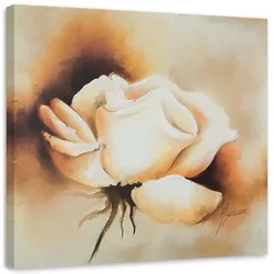 WANDBILD Eine Knospe der weißen Rose 60x60cm