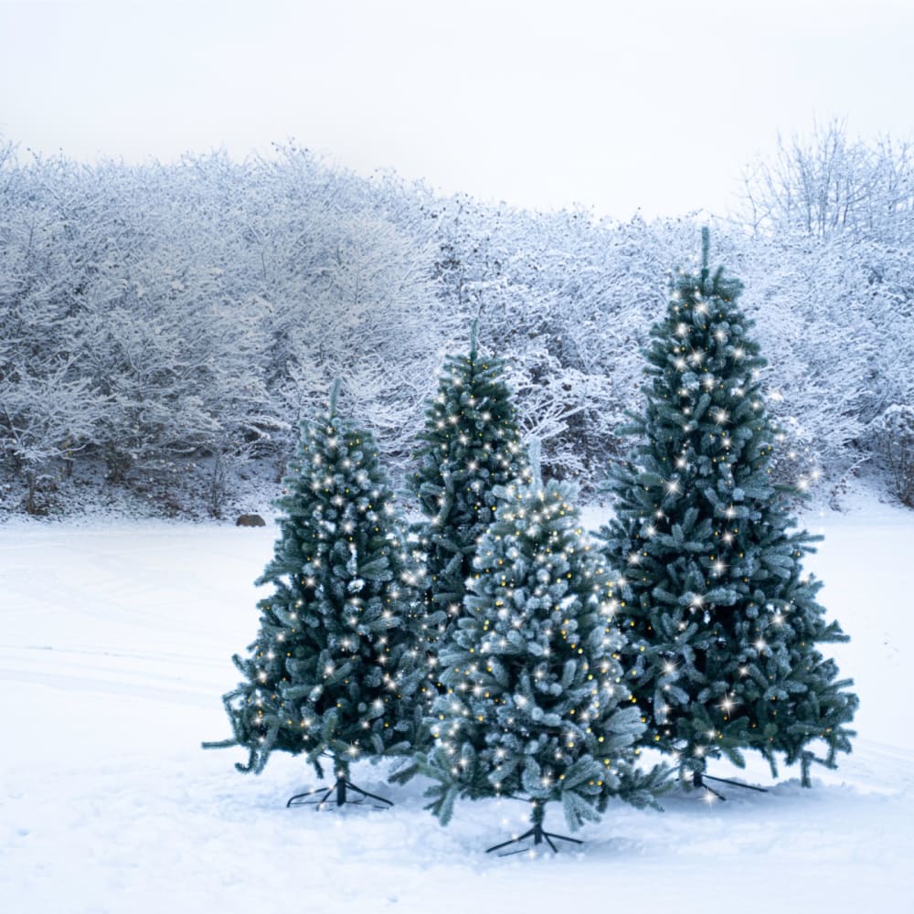 Sirius Arbre led h 150cm vert Vert 70x150x70cm