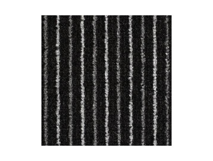 Schmutzschleuse Scala Anthrazit 0.9 × 2 m